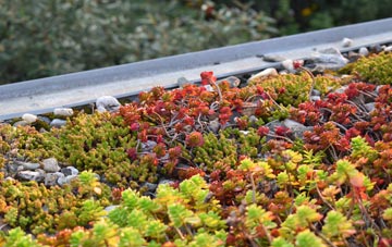 the cost of Water Eaton green roof installation