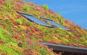 Water Eaton living roof systems